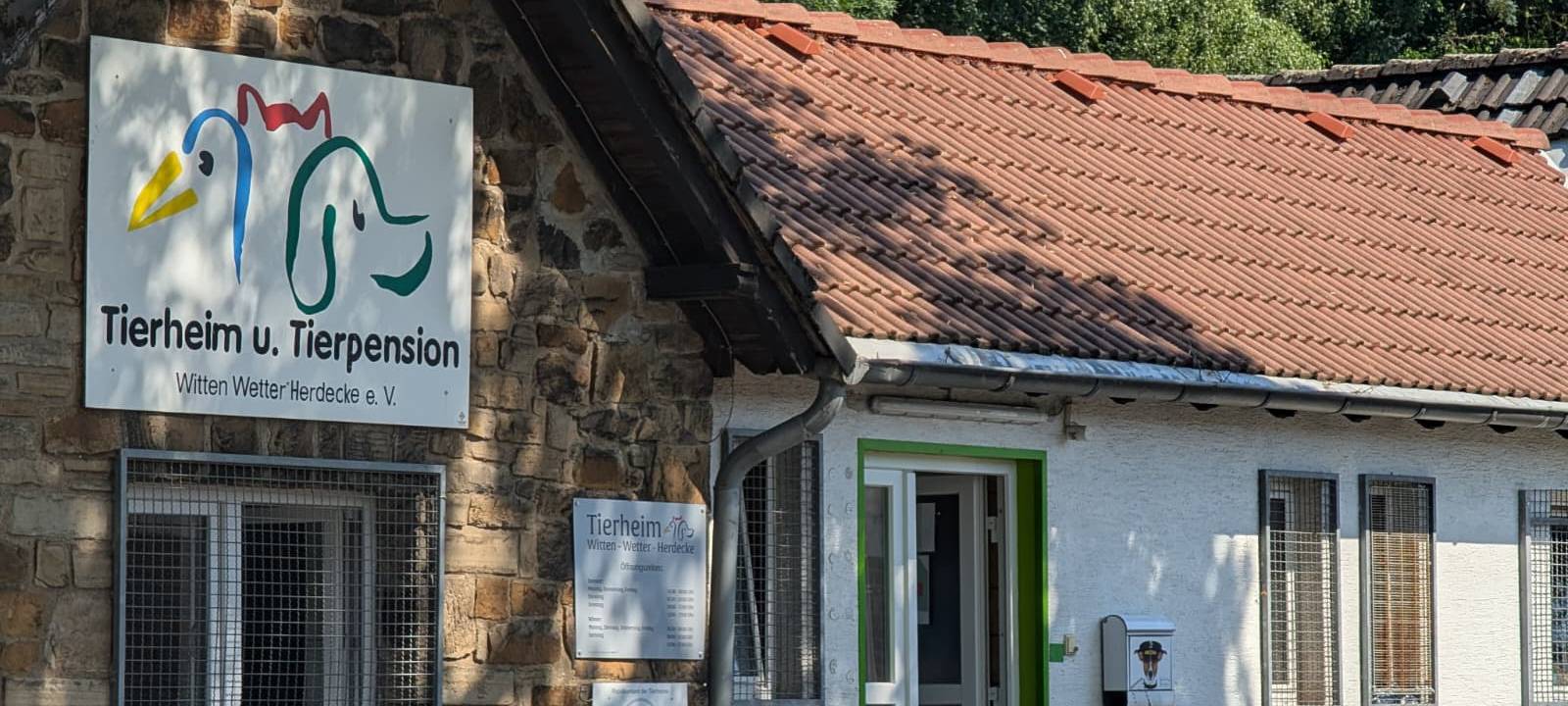 Tierheim Witten komplett voll: "Die Lage ist kritisch"