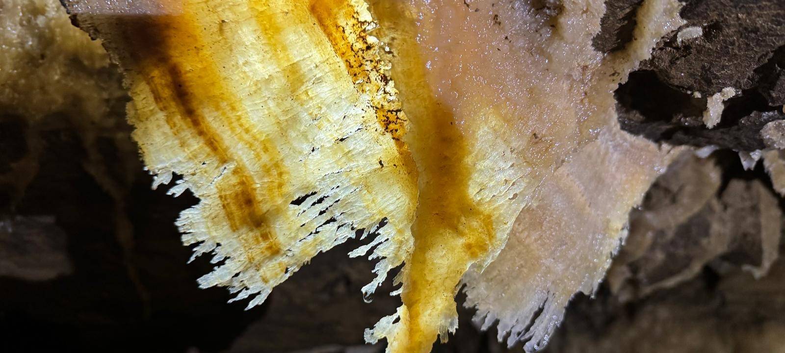 Neue Höhle am Klutertberg entdeckt