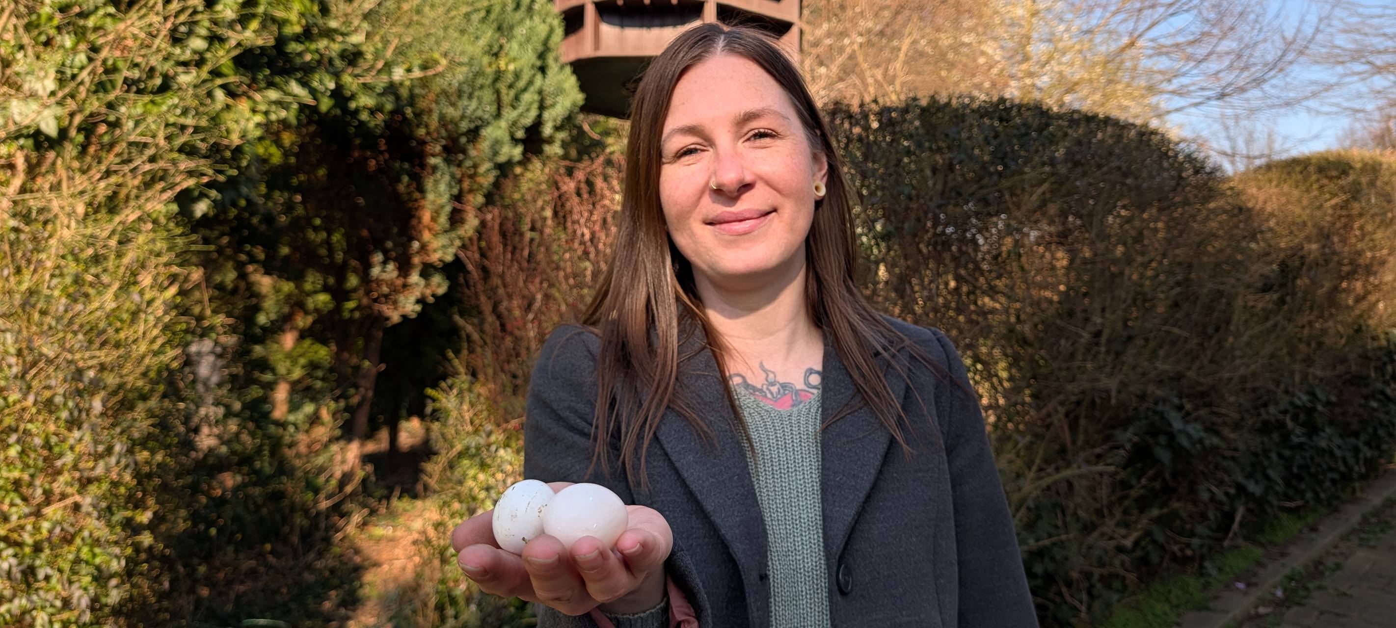 Witten kämpft gegen Tauben