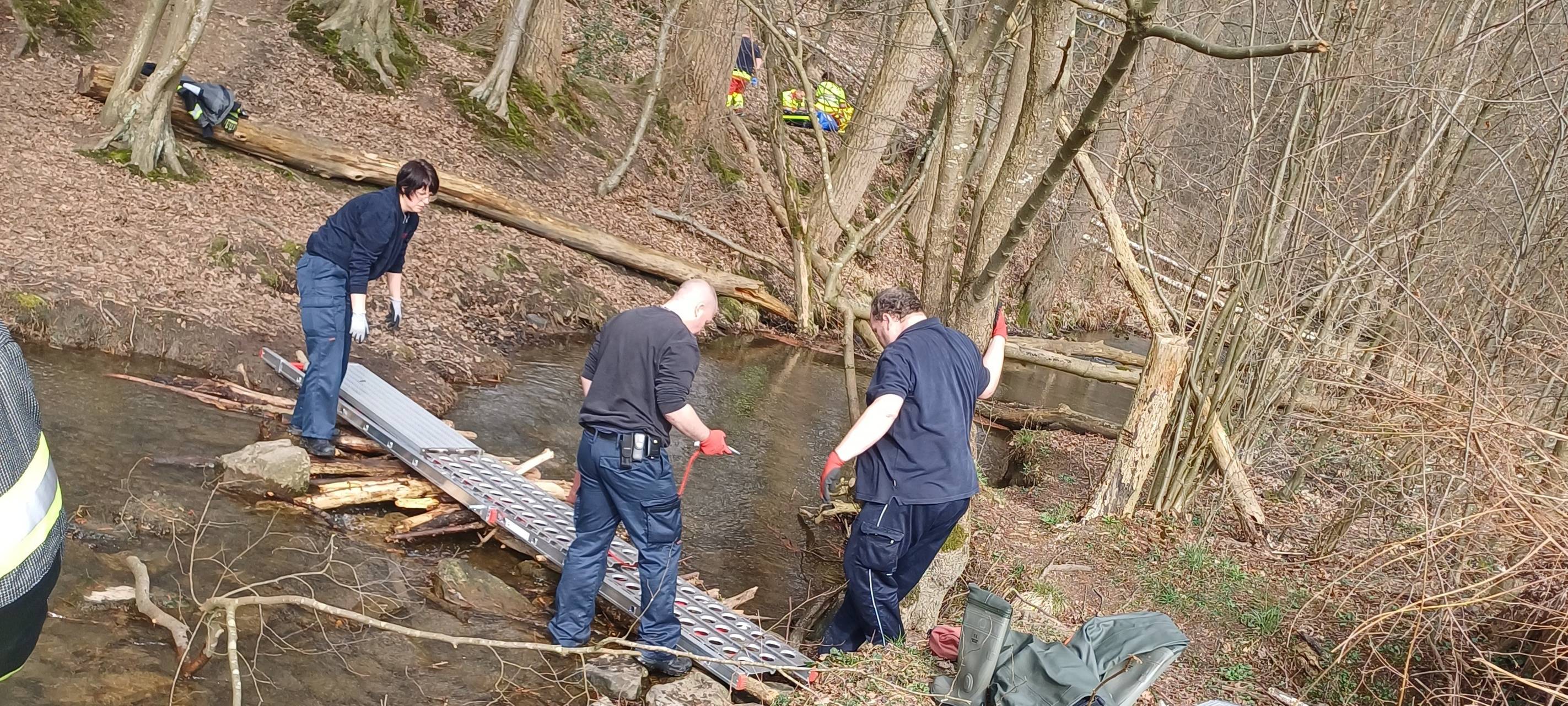 Frau in Wetter aus Wald gerettet