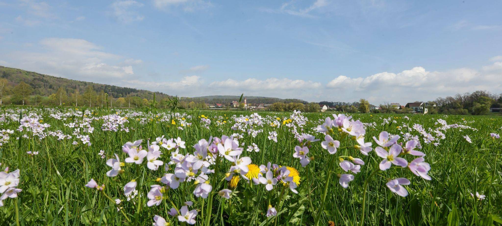 Wetter in Baden-Württemberg
