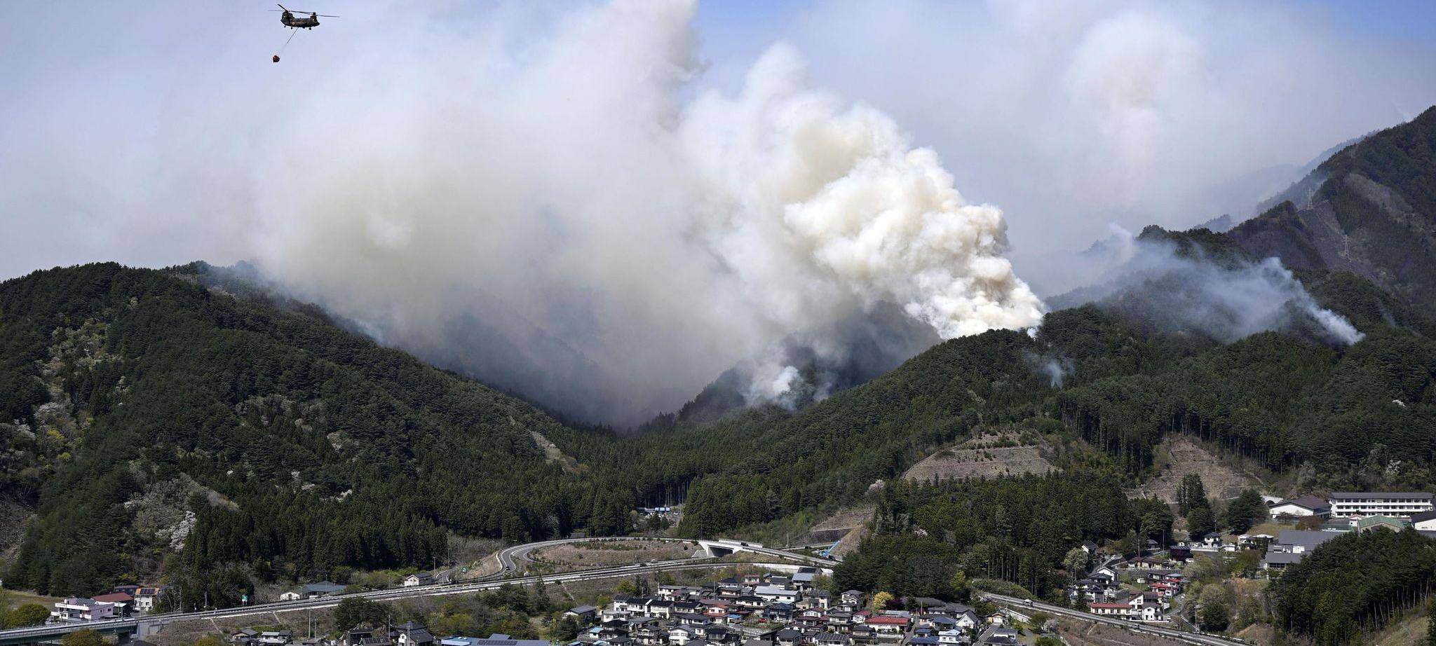 Waldbrand im Nordosten Japans