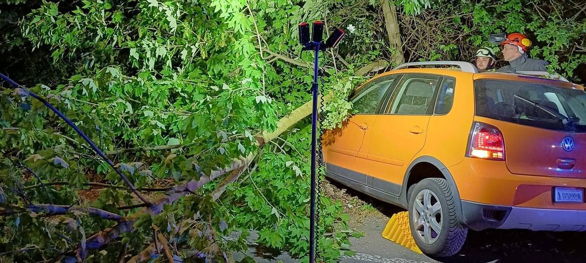 Frau fährt gegen Baum