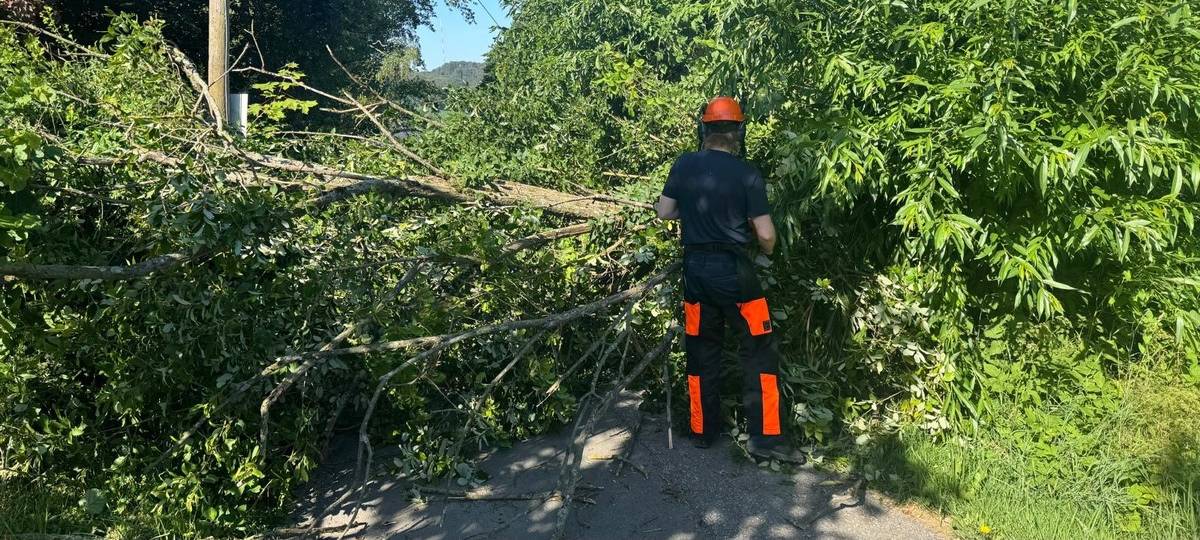 Feuerwehren hatten gut zu tun