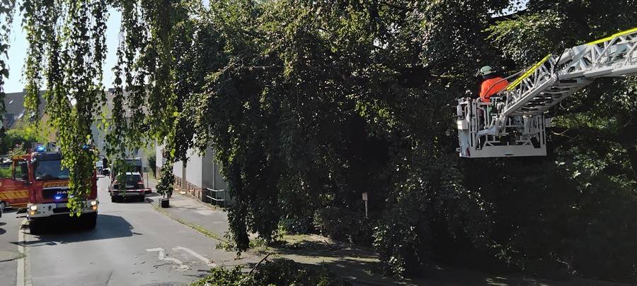 Feuerwehren hatten gut zu tun