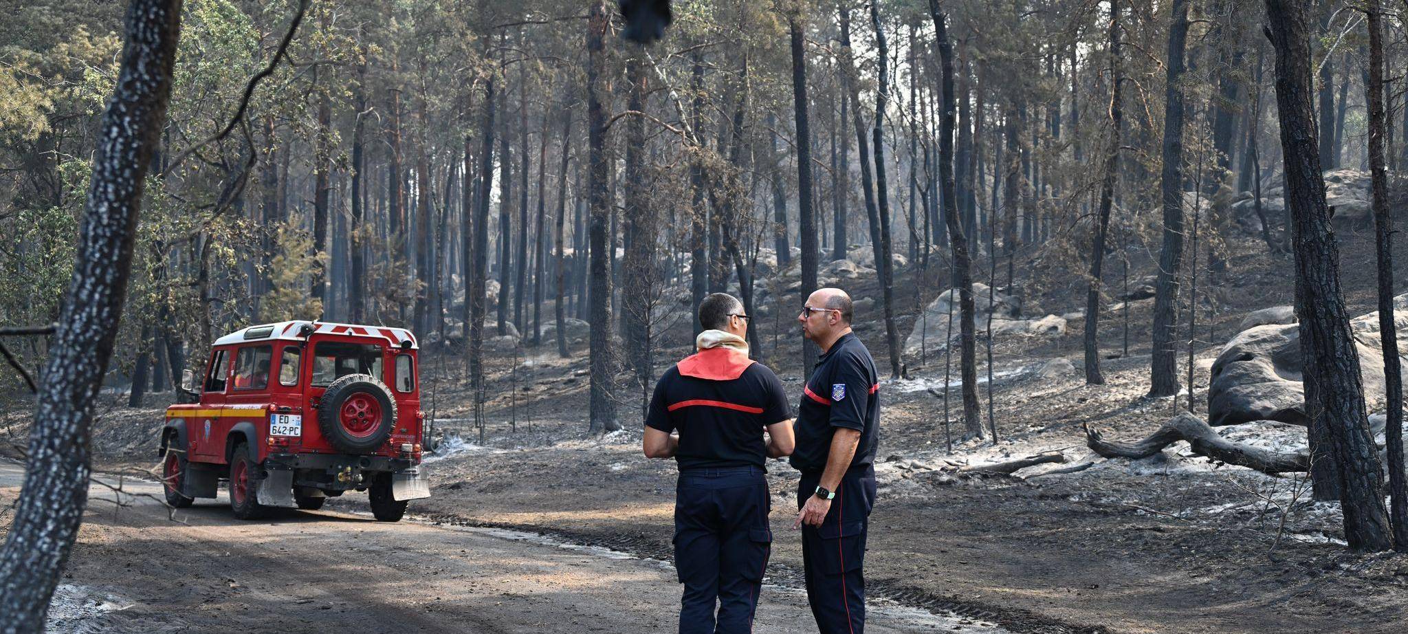 Waldbrand bei Paris