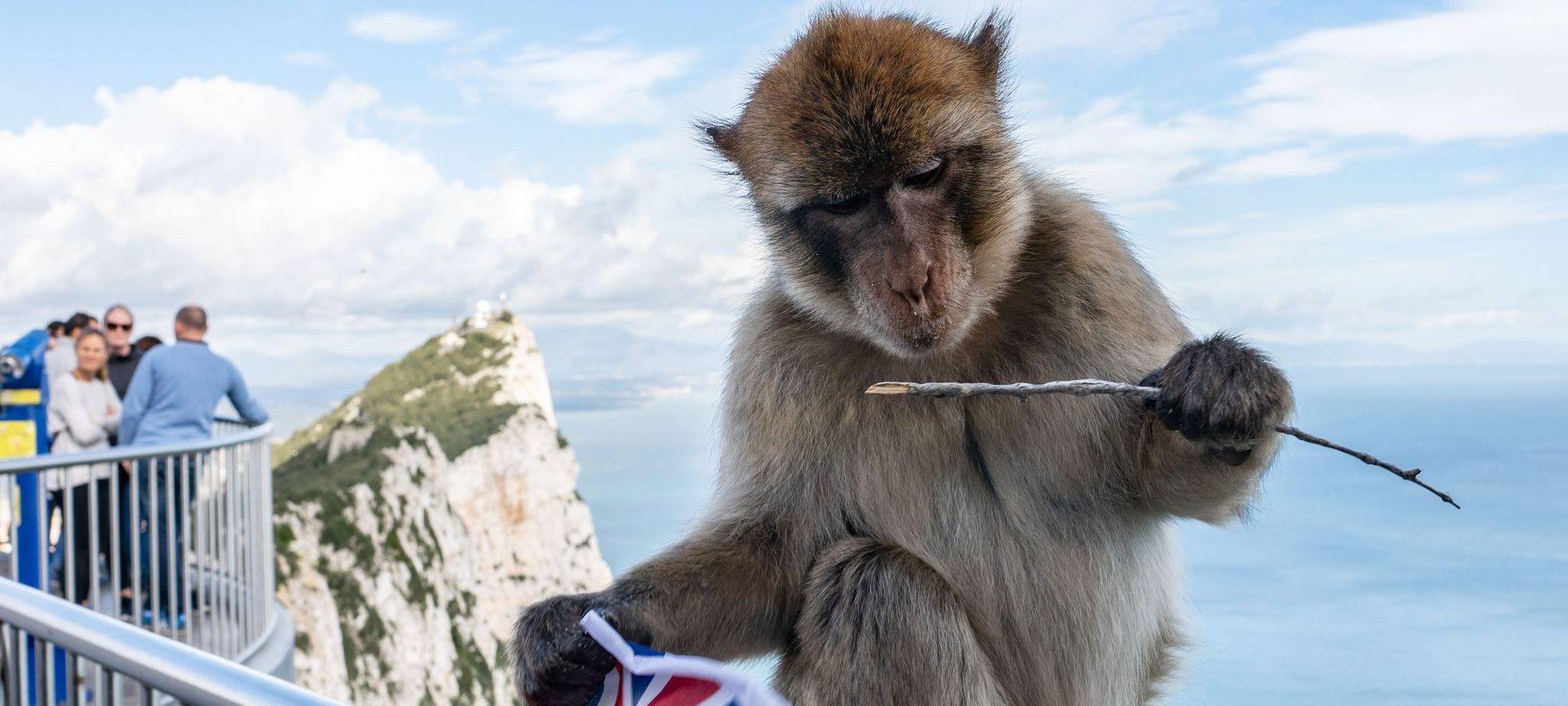 Gibraltar