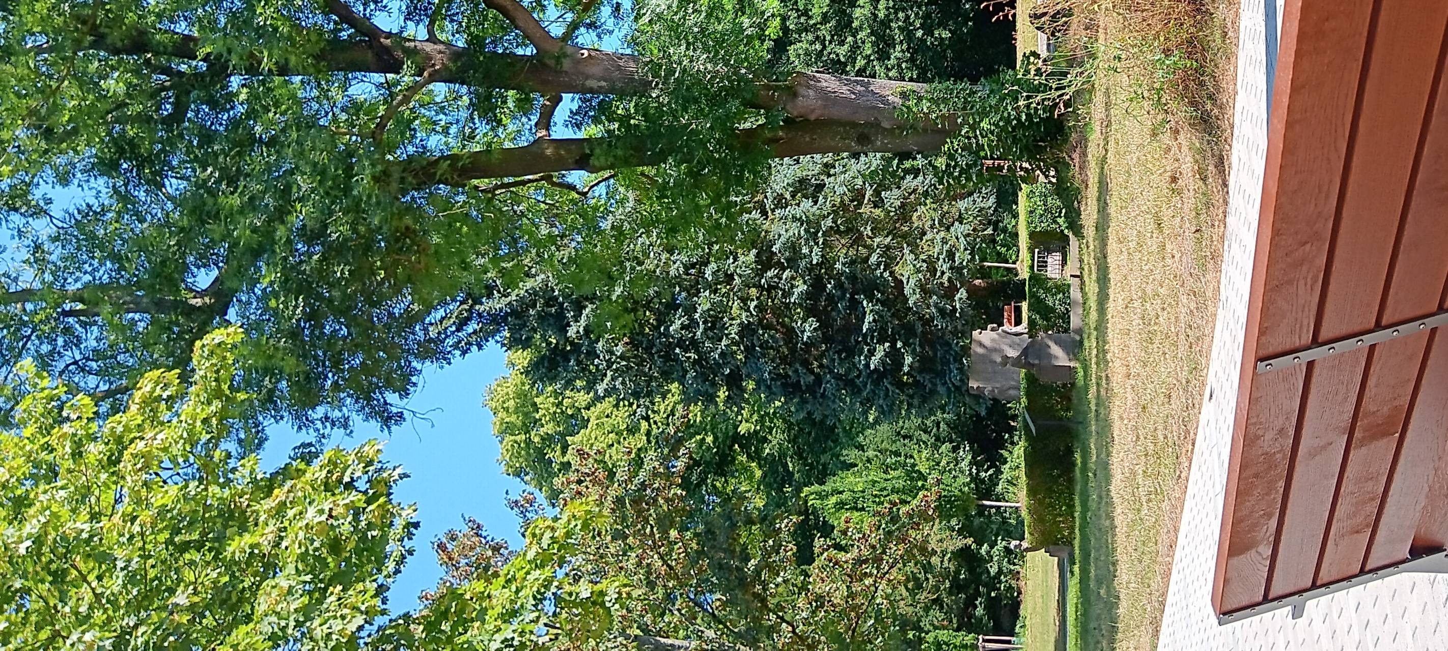 Park am Alten Friedhof jetzt Mehrgenerationenpark