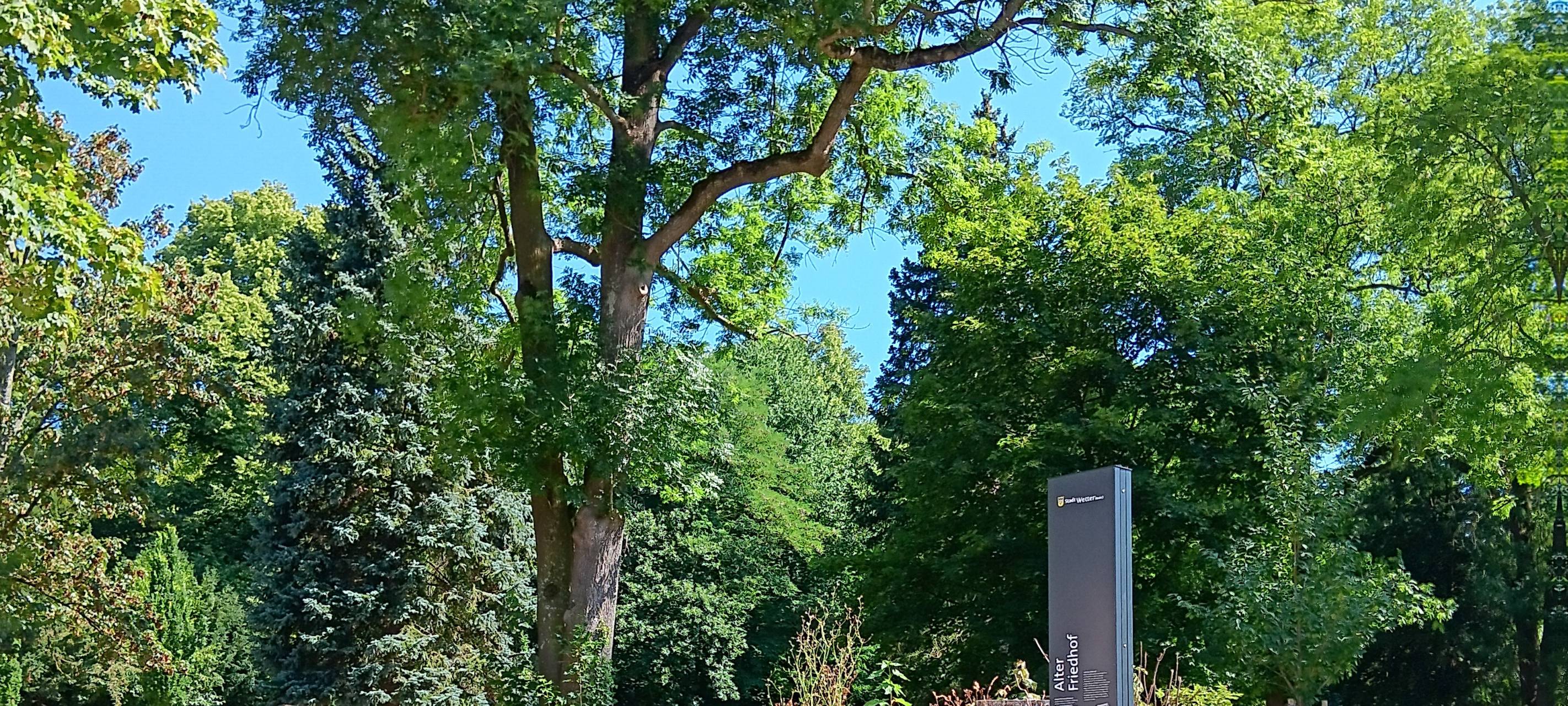 Park am Alten Friedhof jetzt Mehrgenerationenpark
