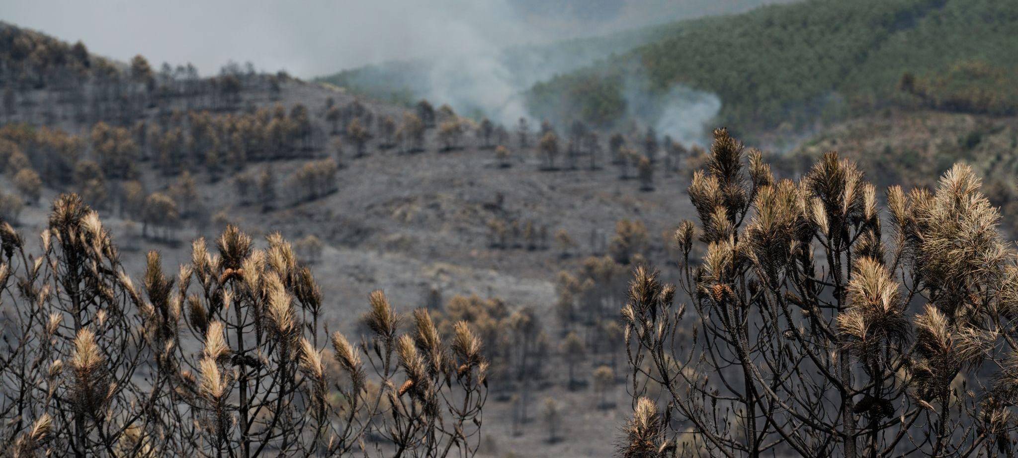 Waldbrände in Spanien