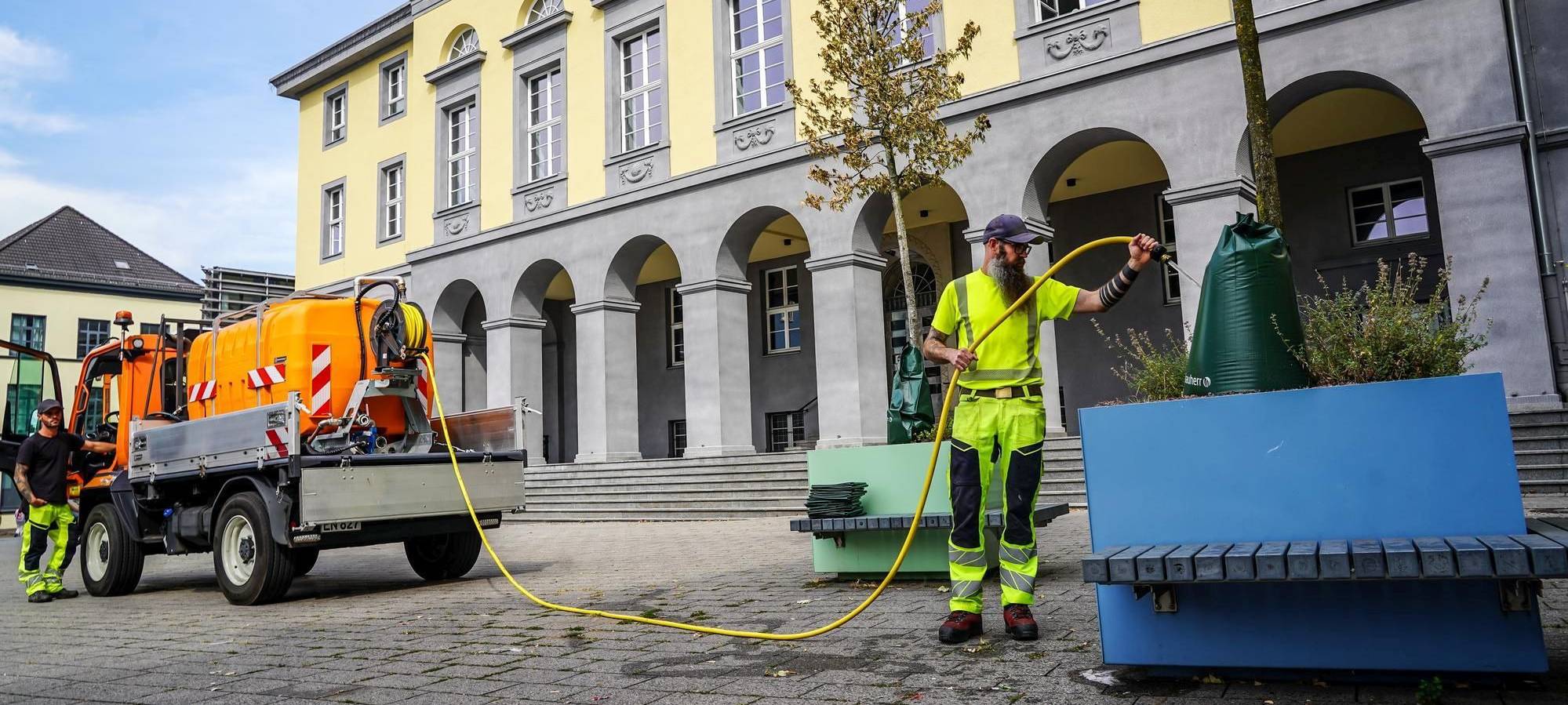 Vorerst Verschnaufpause für Wittener Innenstadtbäume