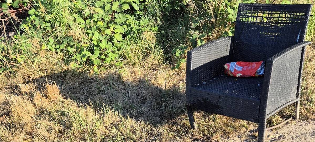 Waldbrandgefahr weiterhin hoch