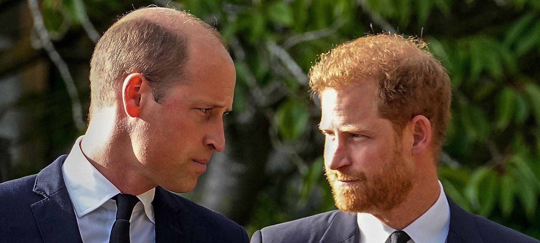 Prinz William und Prinz Harry