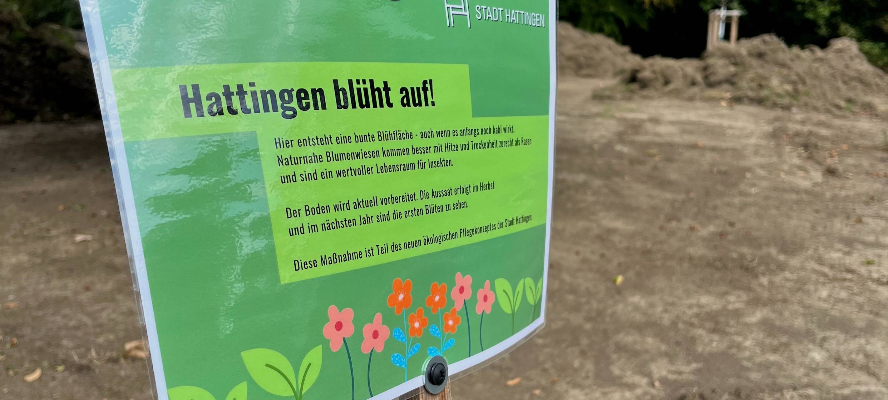 Wildblumen für Hattingen: aktuell sieht es nach Kahlschlag aus