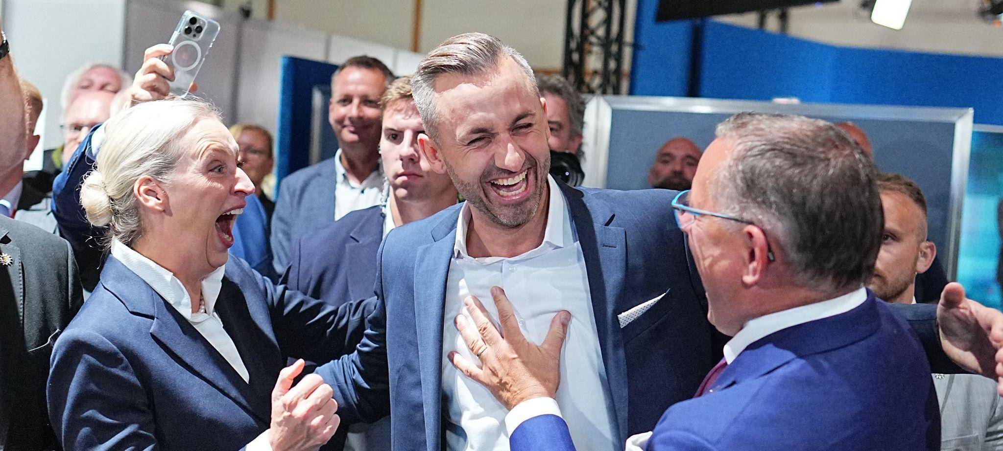 Landtagswahl in Sachsen-Anhalt - AfD