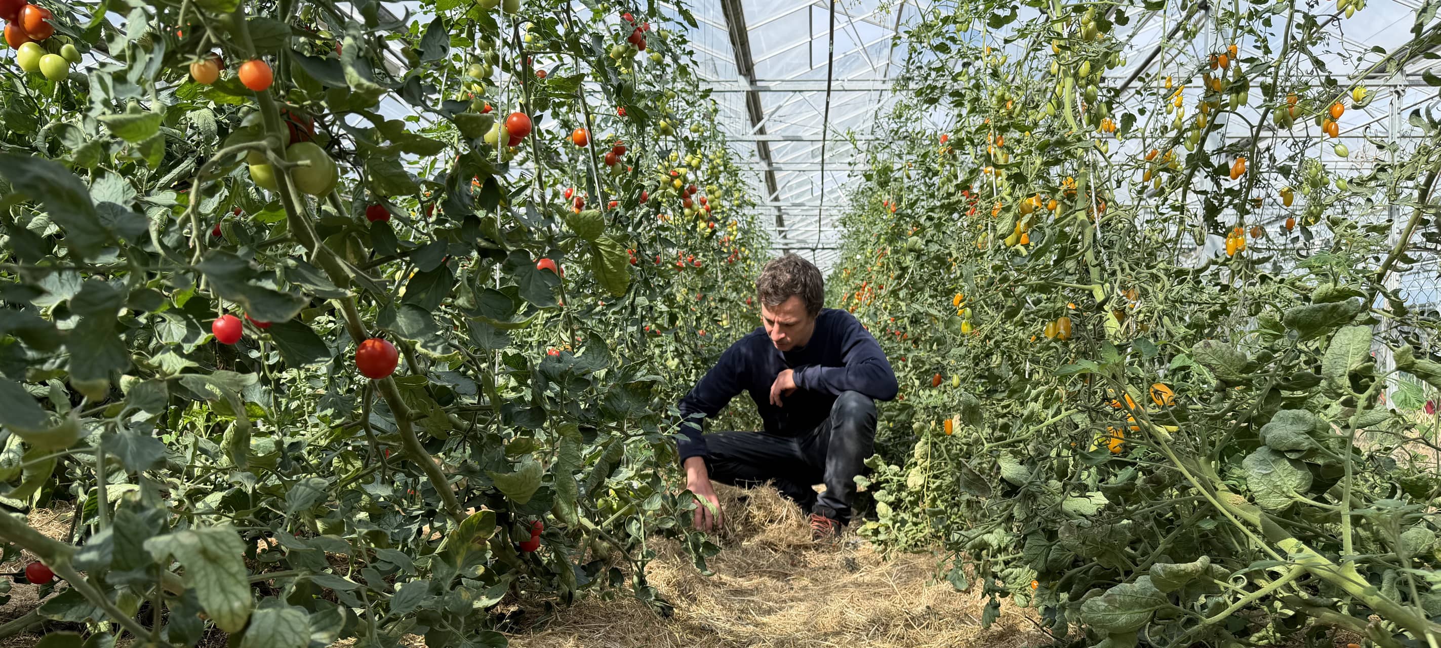 Zu Besuch bei Gemüsebetrieben in Witten und Hattingen