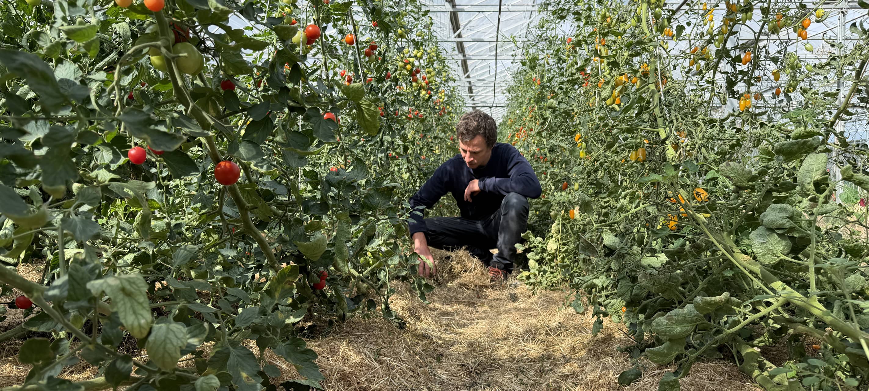 Zu Besuch bei Gemüsebetrieben in Witten und Hattingen