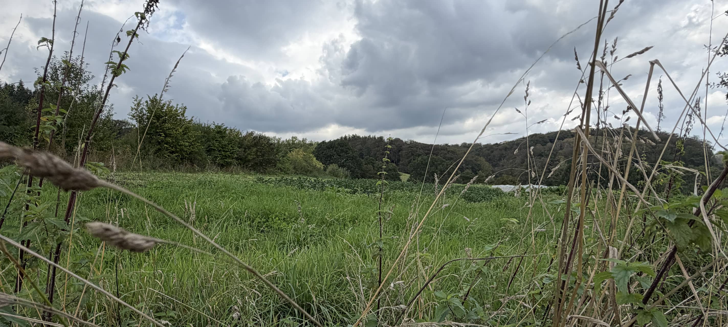 Zu Besuch bei Gemüsebetrieben in Witten und Hattingen