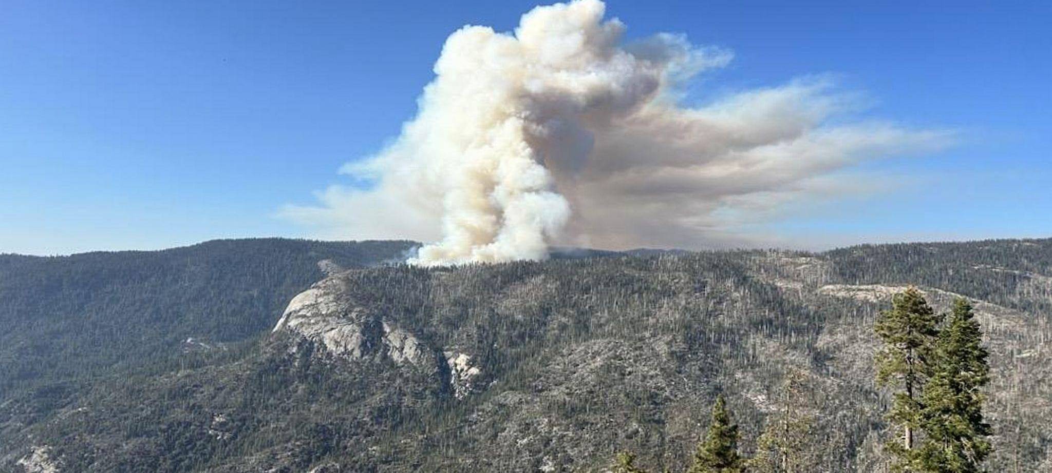 Waldbrände in den USA