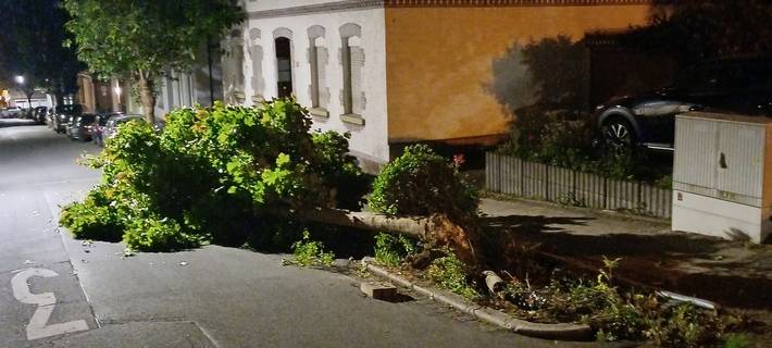 Wetter: LKW fährt in der Innenstadt einen Baum um