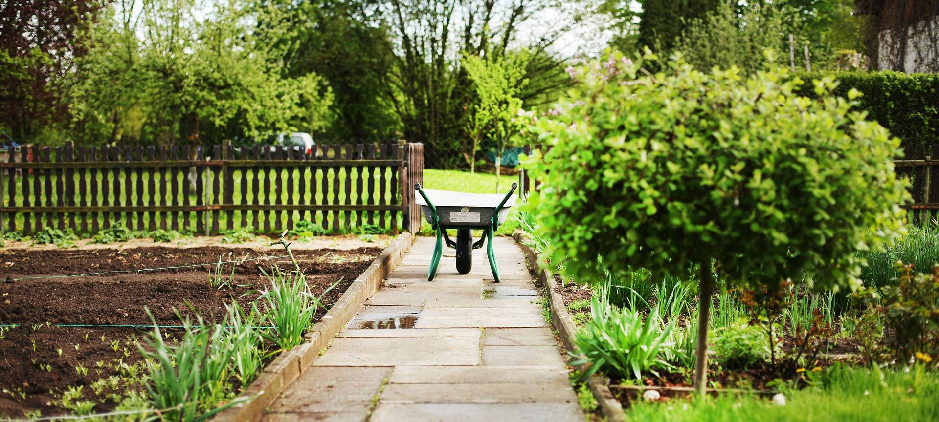 Stadt gibt kostenlos Mulch ab