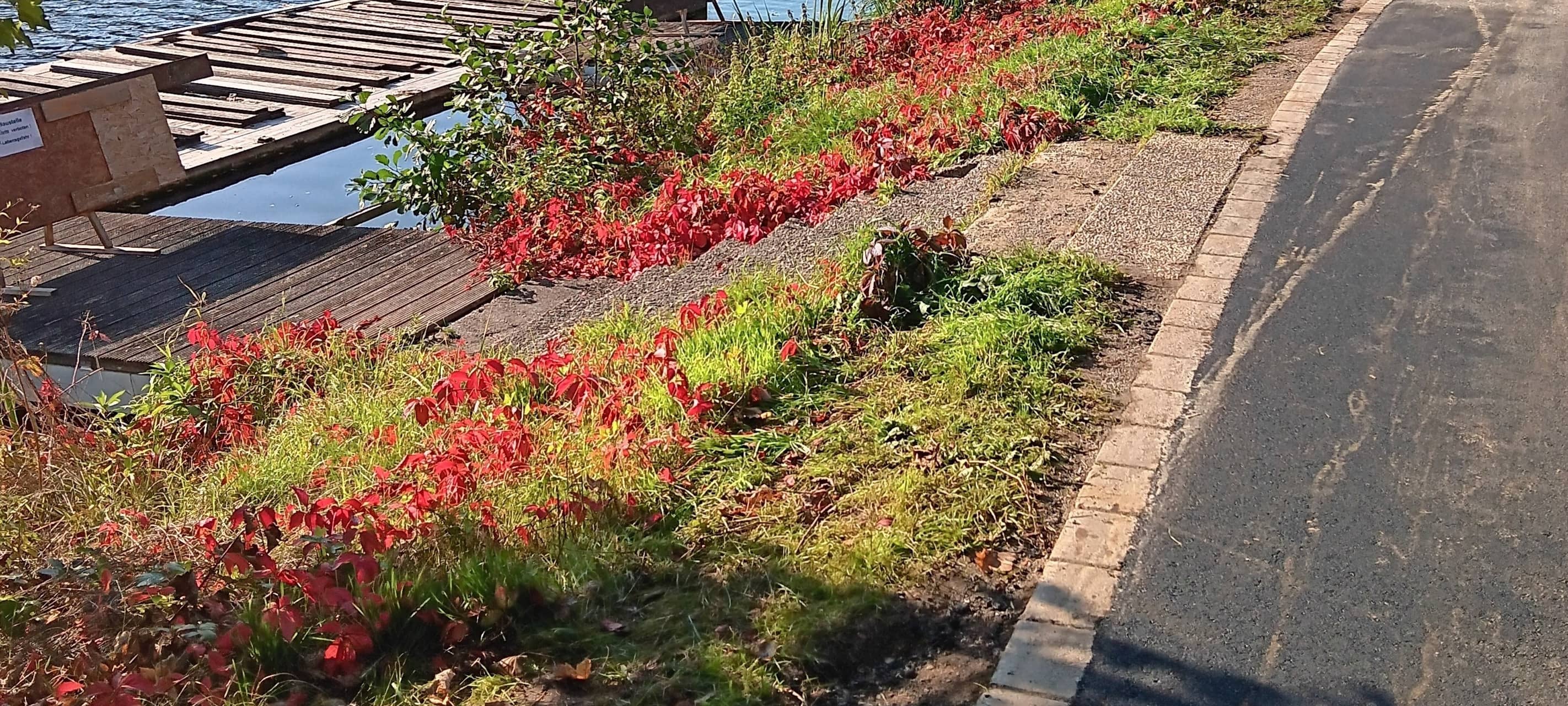 Wetter: Vollsperrung am RuhrtalRadweg