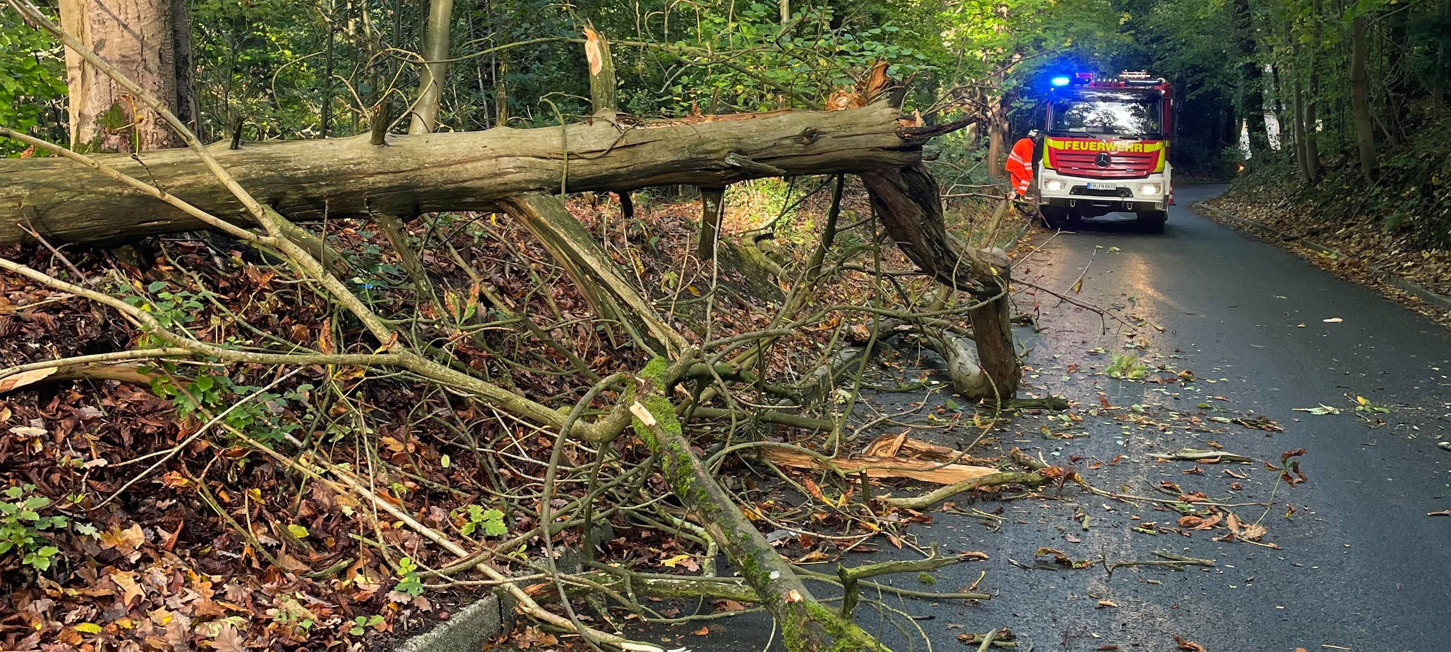 Sturmtief Luise: Feuerwehr im EN-Kreis im Dauereinsatz