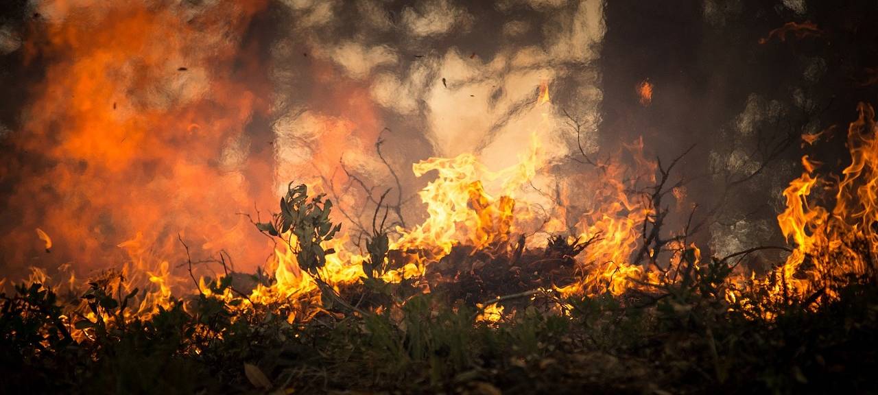 Feuerwehr musste Flächenbrand löschen