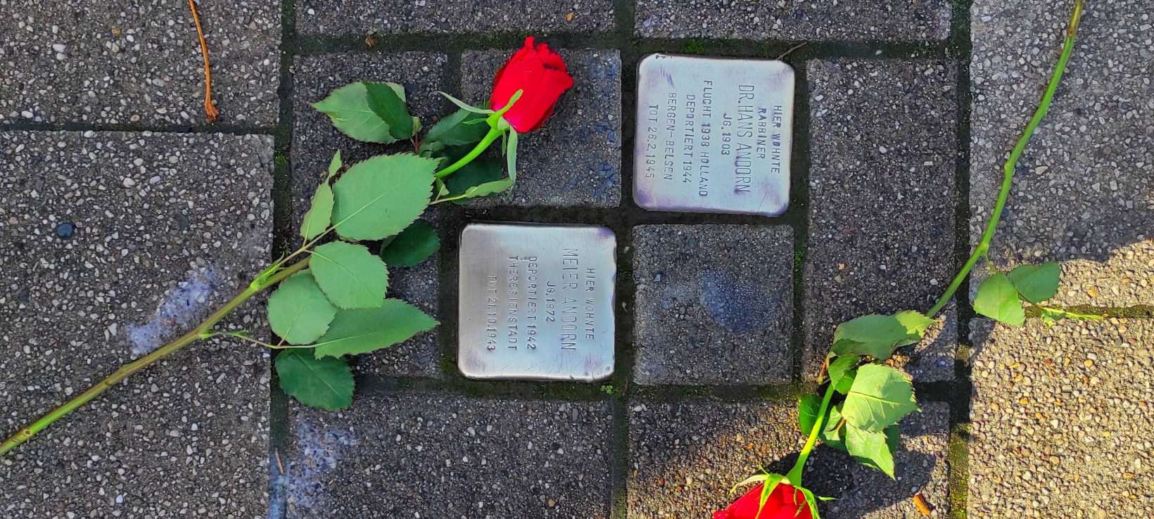 Gedenken an Pogromnacht