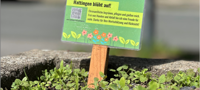 Hattingen: Infoveranstaltung zu Grünflächen