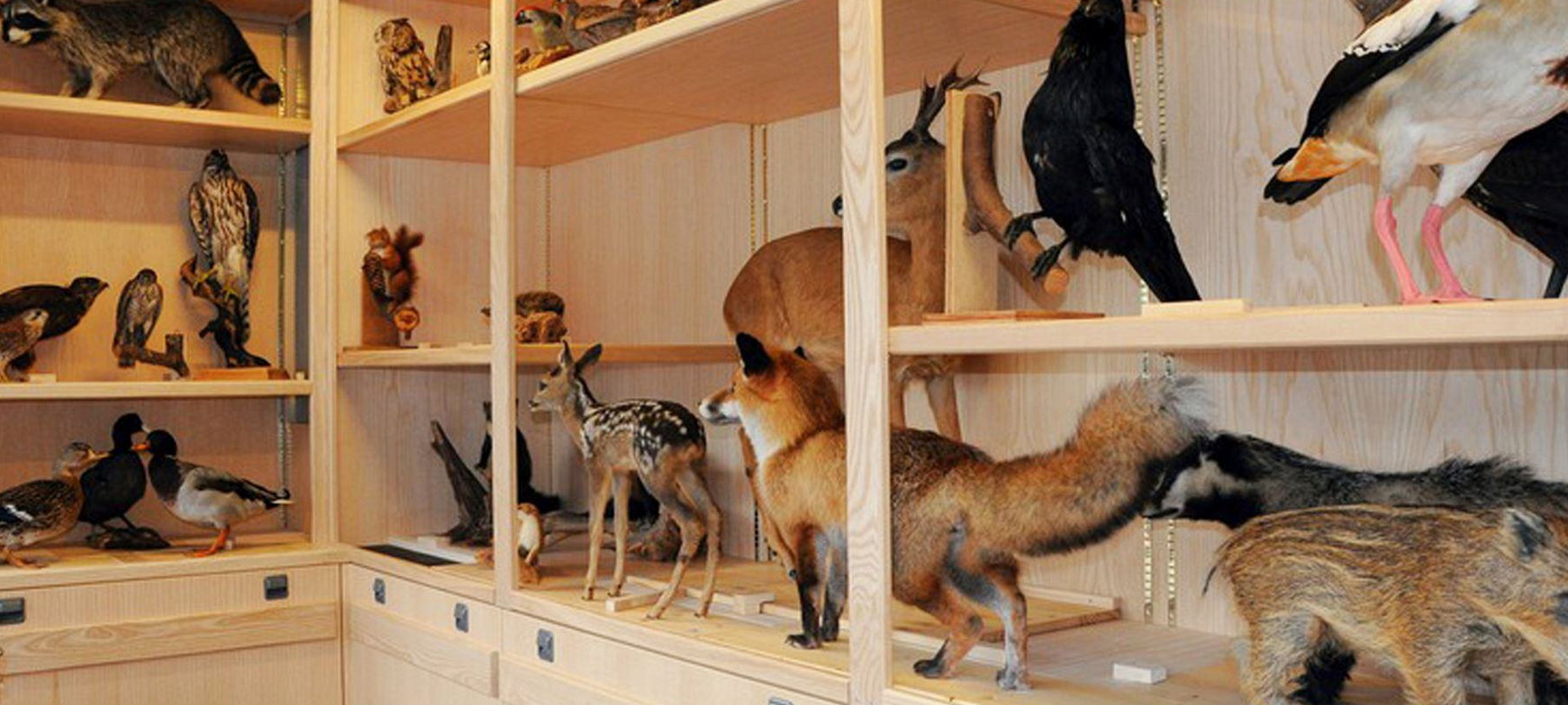 Lernort Natur für seine Arbeit ausgezeichnet