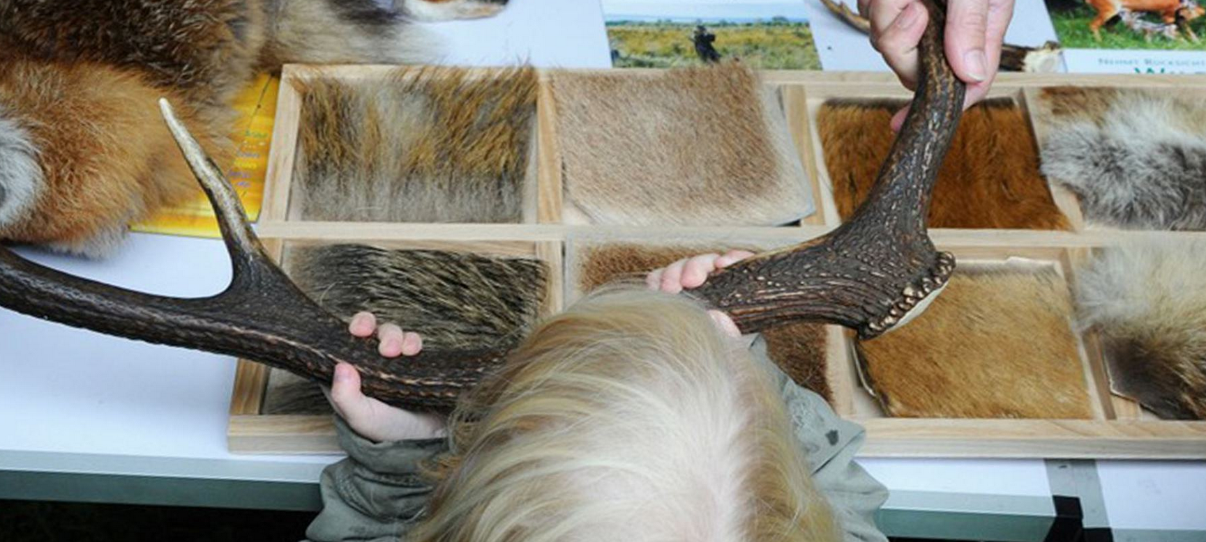 Lernort Natur für seine Arbeit ausgezeichnet