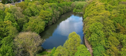 Der Hammerteich wird entschlammt