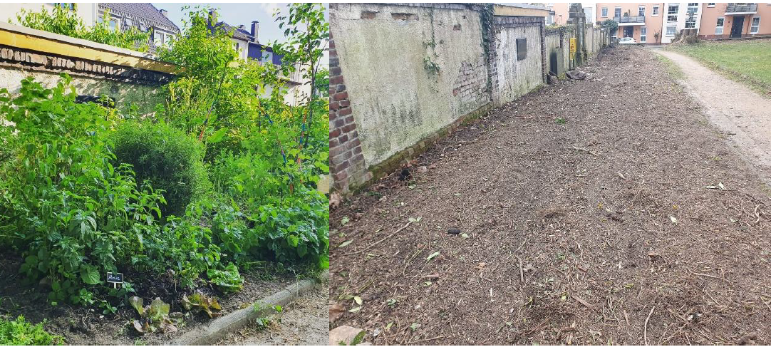 Zukunftsgarten in Wetter ohne Zukunft?