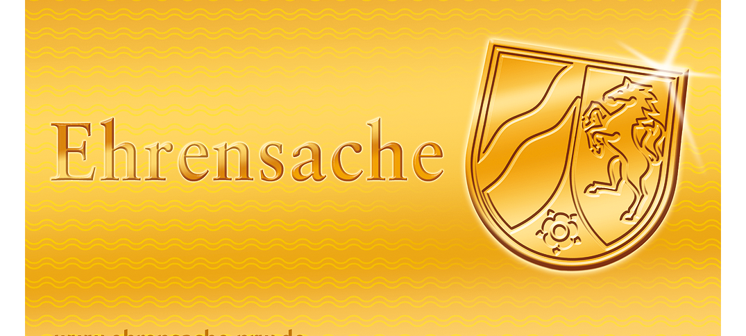 Stadt organisiert Ehrenamtstag